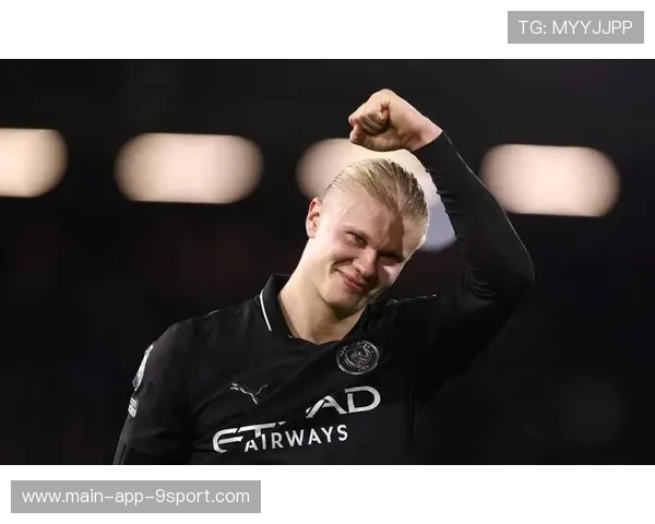 哈兰德连场高光,哈兰德精选 哈兰德连场高光,哈兰德精选