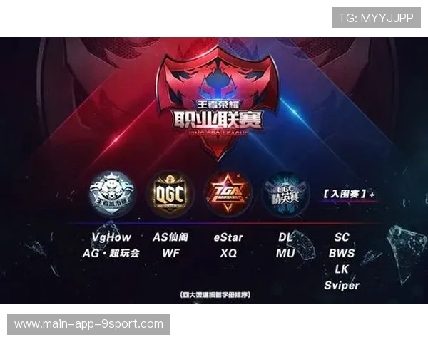 职业联赛的门票渠道管理